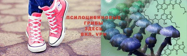 герыч Гусев