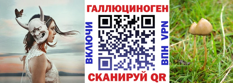 купить наркоту  Асбест  Галлюциногенные грибы Psilocybine cubensis 