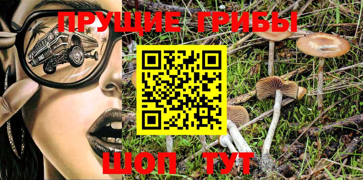 Галлюциногенные грибы Psilocybe  Псилоцибиновые грибы Psilocybe  Вход с VPN  хочу   Асбест 