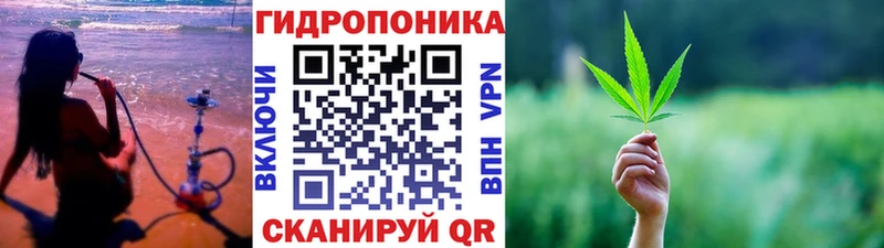 Бошки марихуана Amnesia  как найти закладки  kraken ССЫЛКА  Асбест 